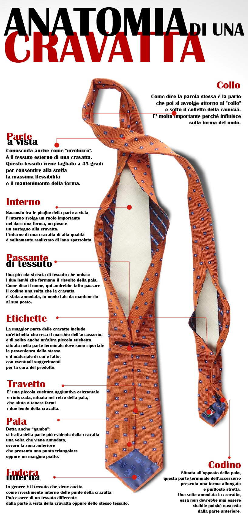 anatomia della cravatta
