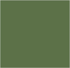 Pantone verde Kale 18-0107