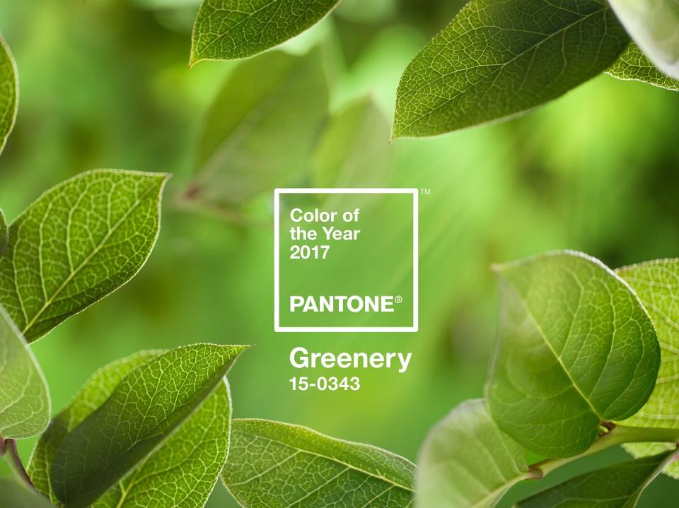 PANTONE-Color-of-the-Year-2017-Greenery-15-0343