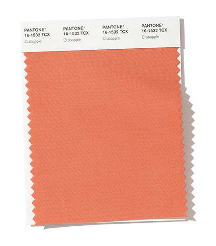 PANTONE 16-1532