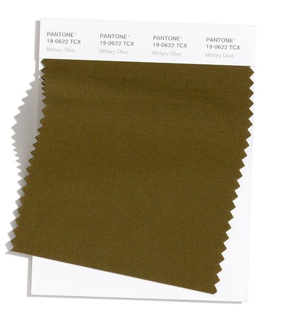 Military Olive Pantone 2020