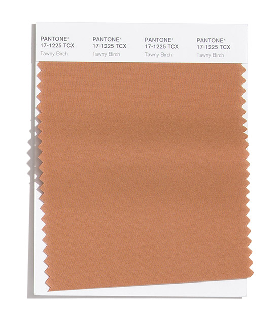 Tawny Birch Pantone 2020