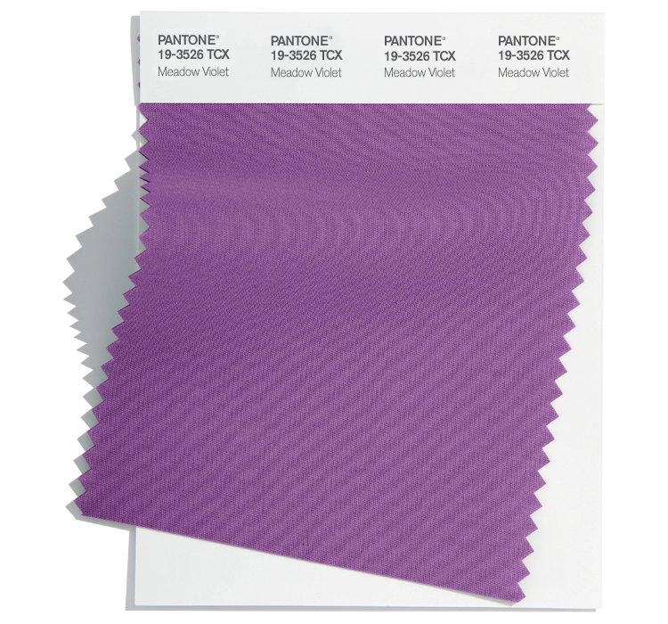 PANTONE 19-3526 Meadow Violet