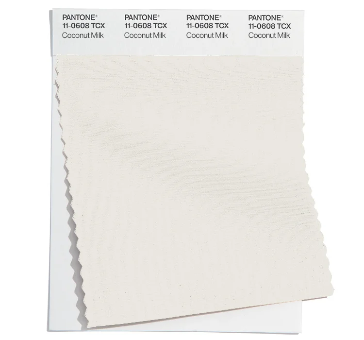 PANTONE 11-0608 TCX
Coconut Milk