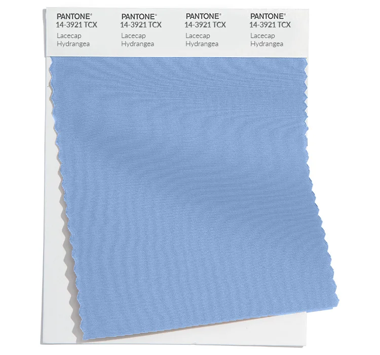 PANTONE 14-3921 TSX
Lacecap Hydrangea