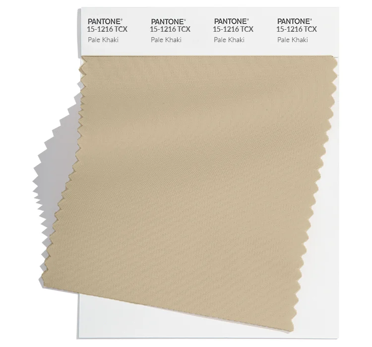 PANTONE 15-1216 TCX
Pale Khaki