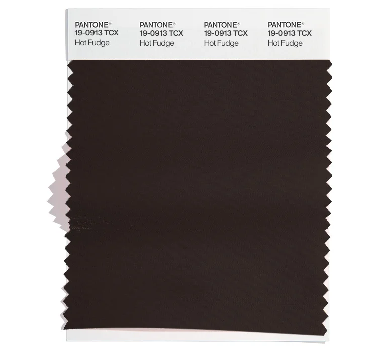 PANTONE 19-0913 TCX
Hot Fudge